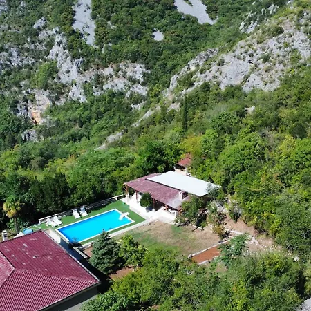 Tocilo *